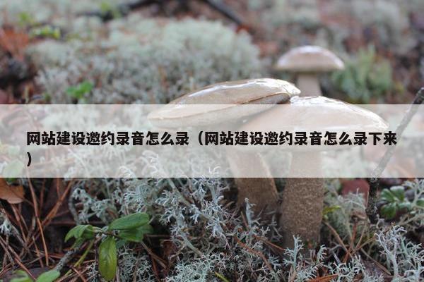 网站建设邀约录音怎么录（网站建设邀约录音怎么录下来）