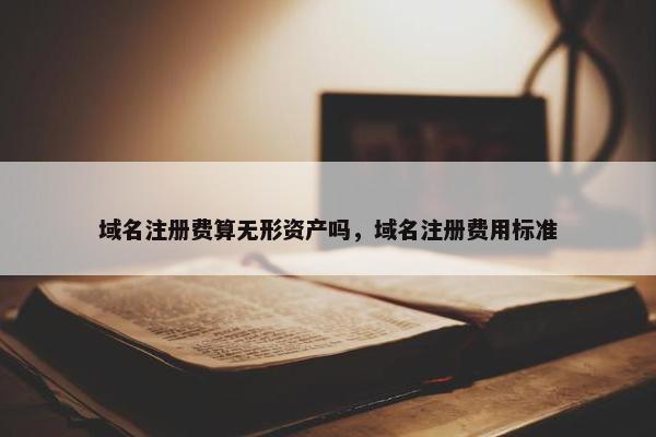 域名注册费算无形资产吗，域名注册费用标准