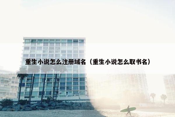 重生小说怎么注册域名（重生小说怎么取书名）