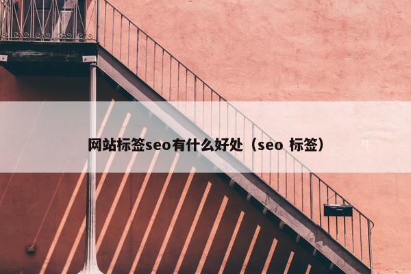 网站标签seo有什么好处（seo 标签）