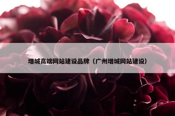 增城高端网站建设品牌（广州增城网站建设）