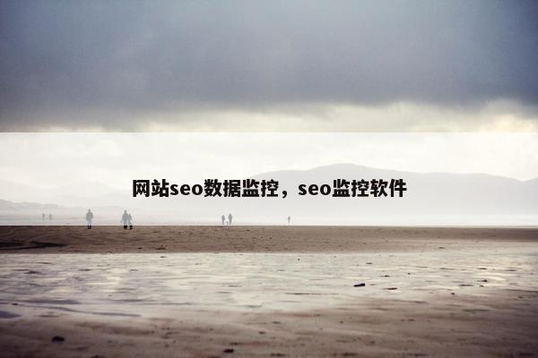 网站seo数据监控，seo监控软件