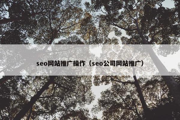 seo网站推广操作（seo公司网站推广）