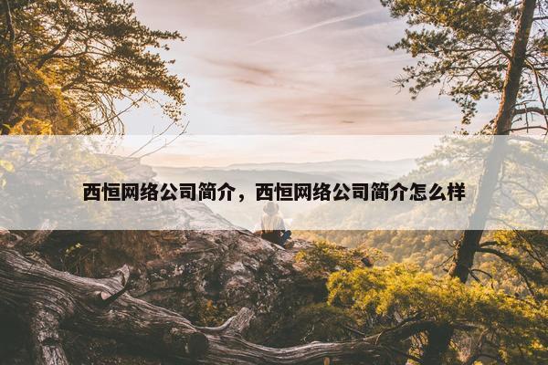 西恒网络公司简介，西恒网络公司简介怎么样