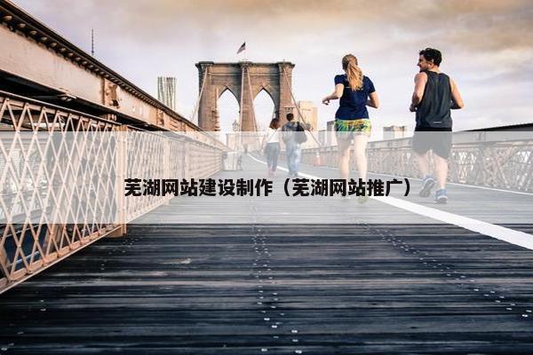 芜湖网站建设制作（芜湖网站推广）