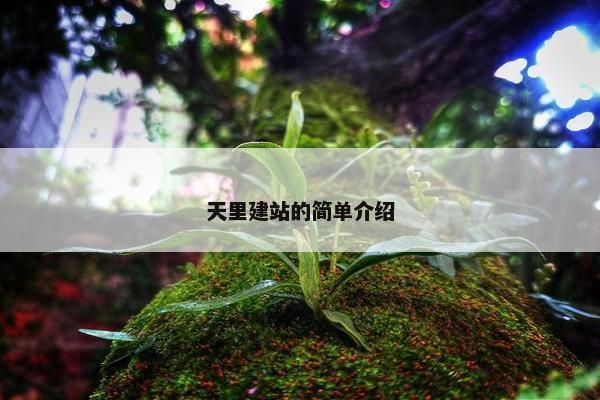 天里建站的简单介绍