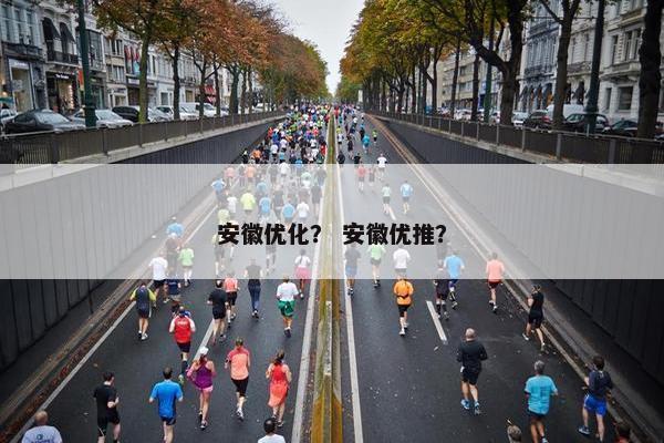 安徽优化？ 安徽优推？