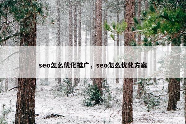 seo怎么优化推广，seo怎么优化方案