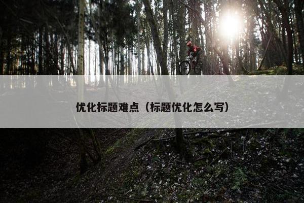 优化标题难点（标题优化怎么写）