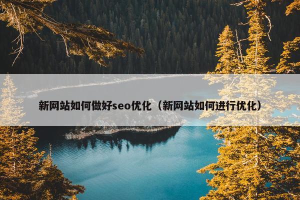 新网站如何做好seo优化（新网站如何进行优化）