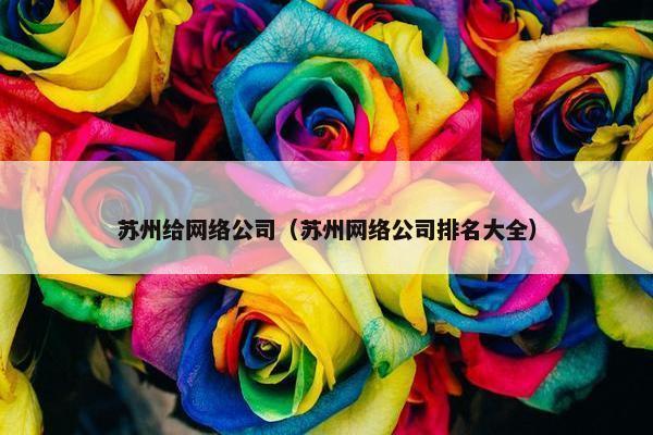 苏州给网络公司（苏州网络公司排名大全）