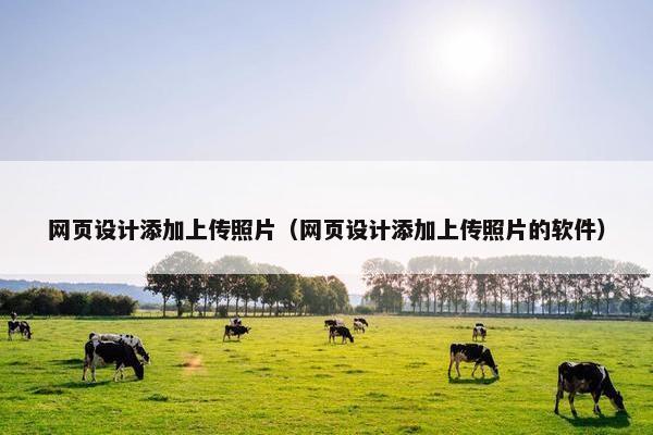 网页设计添加上传照片（网页设计添加上传照片的软件）