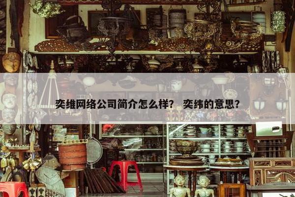 奕维网络公司简介怎么样？ 奕纬的意思？