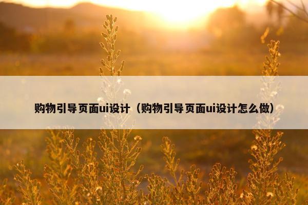 购物引导页面ui设计（购物引导页面ui设计怎么做）