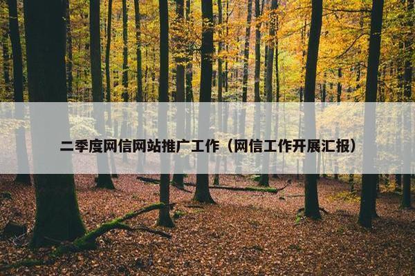 二季度网信网站推广工作（网信工作开展汇报）