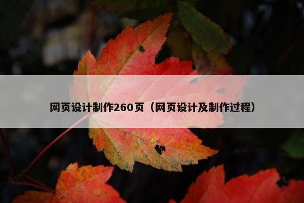 网页设计制作260页（网页设计及制作过程）