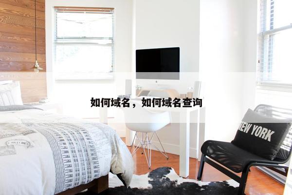 如何域名，如何域名查询