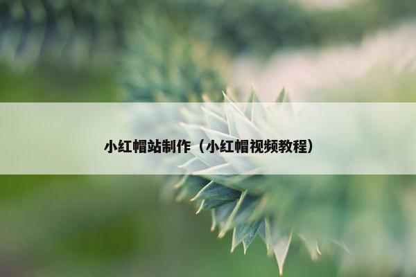 小红帽站制作（小红帽视频教程）