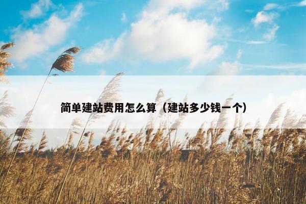 简单建站费用怎么算（建站多少钱一个）