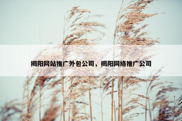 揭阳网站推广外包公司，揭阳网络推广公司
