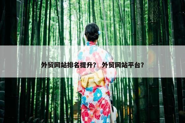 外贸网站排名提升？ 外贸网站平台？