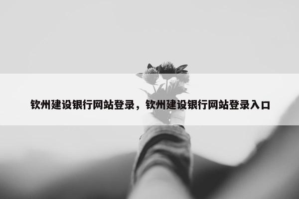 钦州建设银行网站登录，钦州建设银行网站登录入口