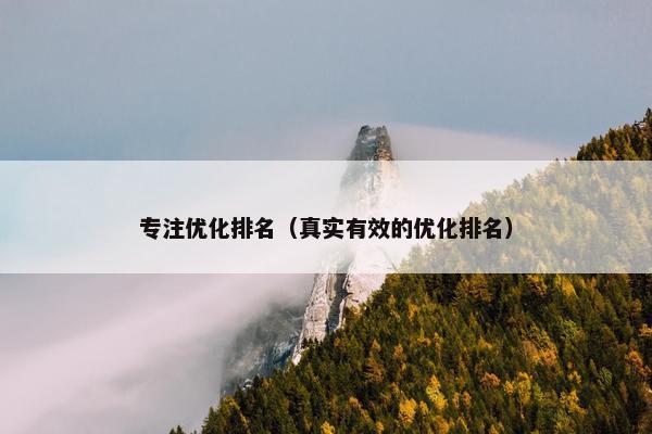 专注优化排名（真实有效的优化排名）