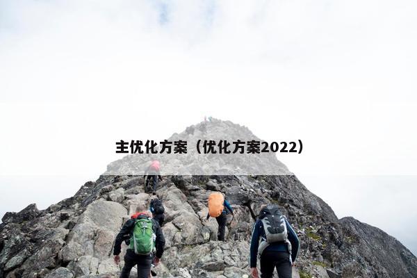 主优化方案（优化方案2022）