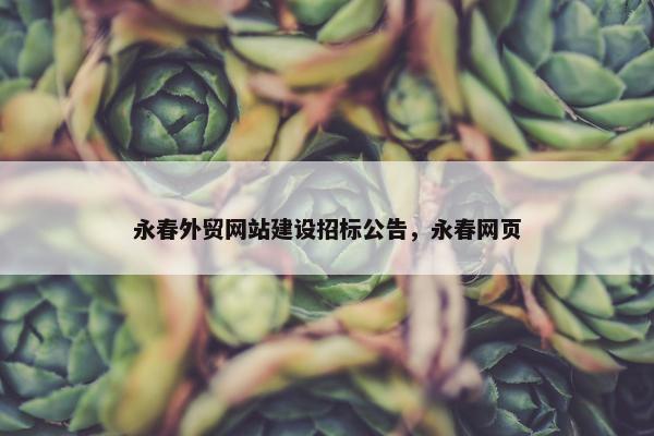 永春外贸网站建设招标公告，永春网页