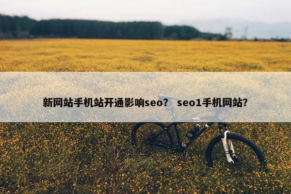 新网站手机站开通影响seo？ seo1手机网站？