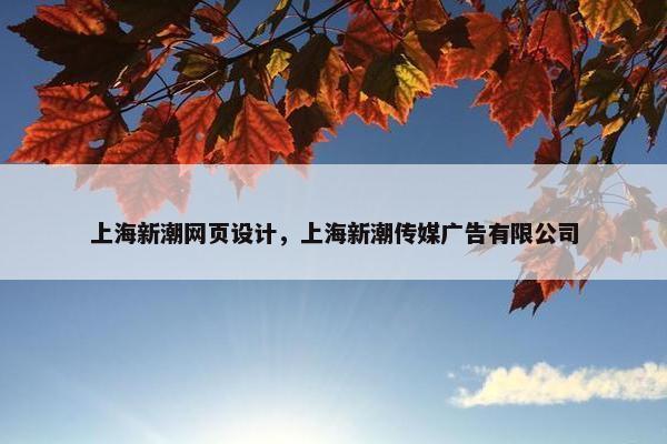 上海新潮网页设计，上海新潮传媒广告有限公司