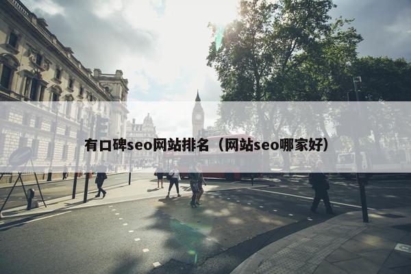 有口碑seo网站排名（网站seo哪家好）