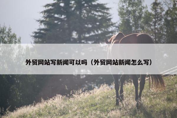 外贸网站写新闻可以吗（外贸网站新闻怎么写）