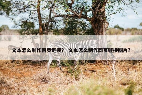 文本怎么制作网页链接？ 文本怎么制作网页链接图片？
