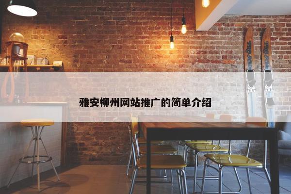雅安柳州网站推广的简单介绍