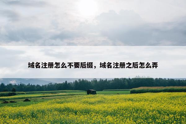 域名注册怎么不要后缀，域名注册之后怎么弄