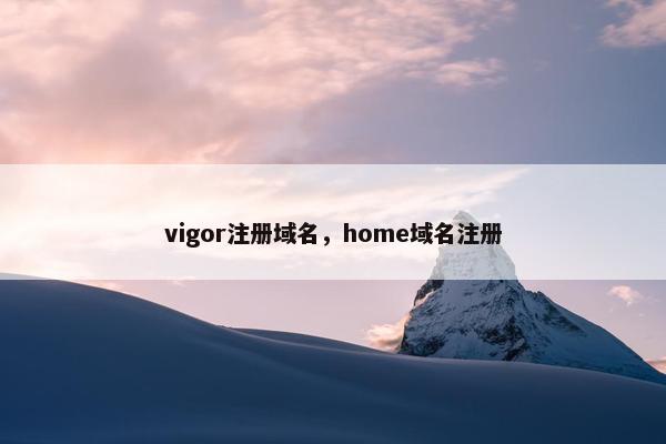 vigor注册域名，home域名注册