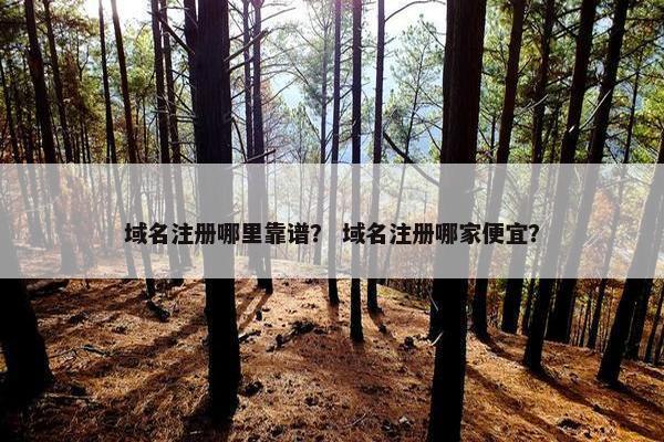 域名注册哪里靠谱？ 域名注册哪家便宜？