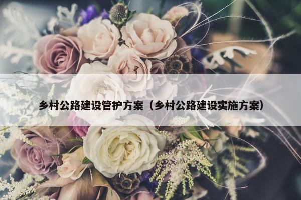 乡村公路建设管护方案（乡村公路建设实施方案）