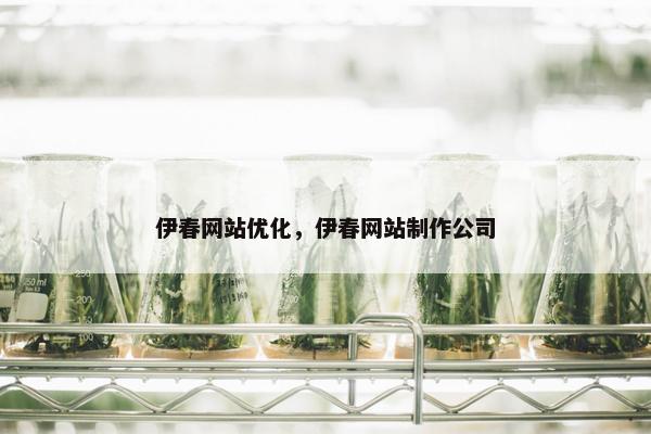 伊春网站优化，伊春网站制作公司