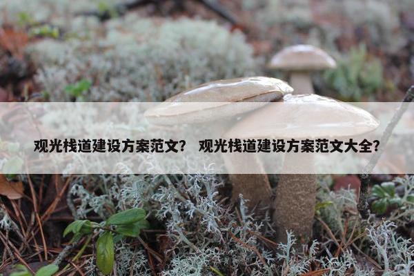 观光栈道建设方案范文？ 观光栈道建设方案范文大全？