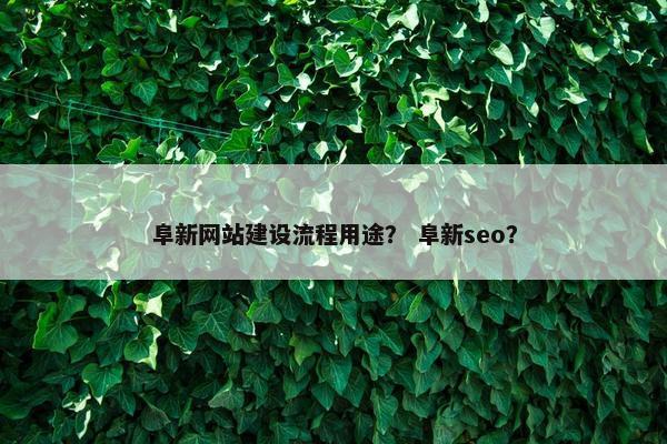 阜新网站建设流程用途？ 阜新seo？