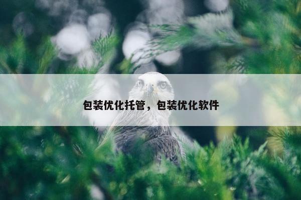 包装优化托管，包装优化软件