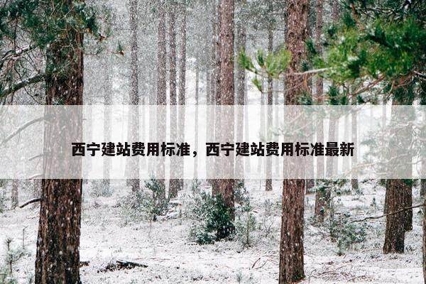 西宁建站费用标准，西宁建站费用标准最新