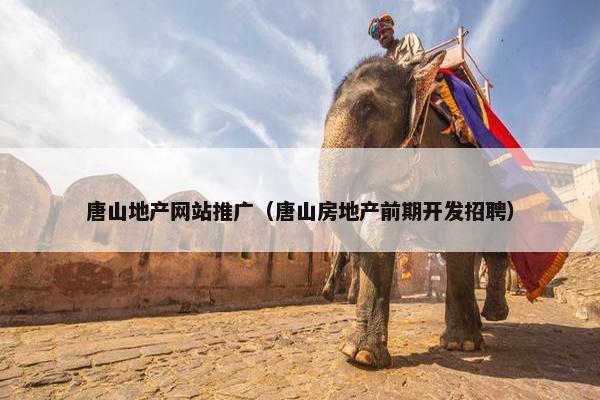 唐山地产网站推广（唐山房地产前期开发招聘）