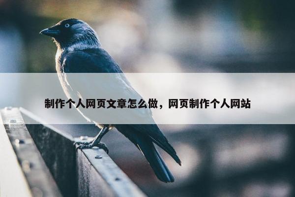 制作个人网页文章怎么做，网页制作个人网站