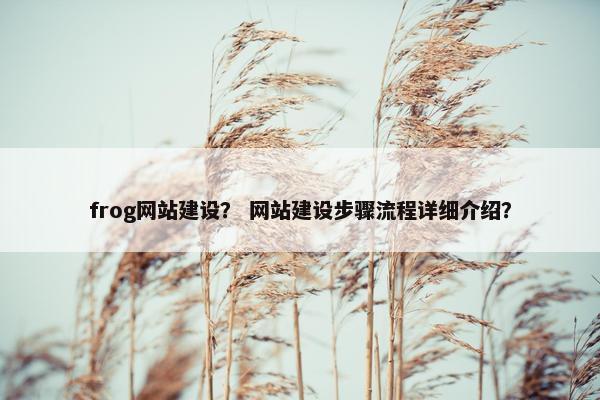 frog网站建设？ 网站建设步骤流程详细介绍？