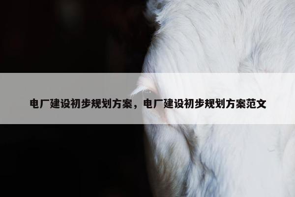电厂建设初步规划方案，电厂建设初步规划方案范文