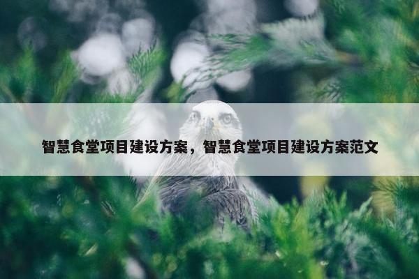 智慧食堂项目建设方案，智慧食堂项目建设方案范文