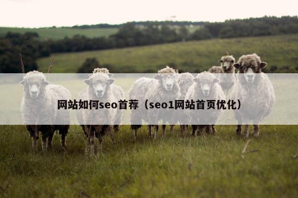 网站如何seo首荐（seo1网站首页优化）